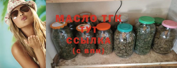гашик Бородино