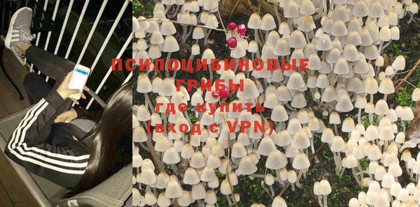гашик Бородино