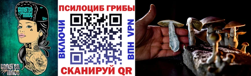 наркошоп  Кирово-Чепецк  Галлюциногенные грибы прущие грибы 